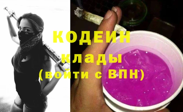 индика Алзамай