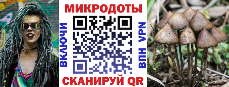 даркнет сайт Ахтубинск Галлюциногенные грибы GOLDEN TEACHER